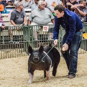 Meet your Posher, Brandon